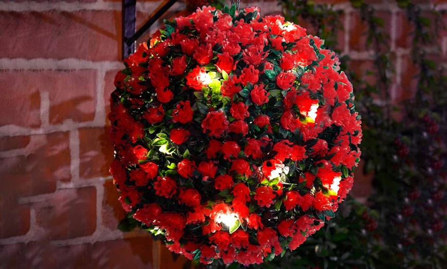 Image 5: Solar Topiary Ball