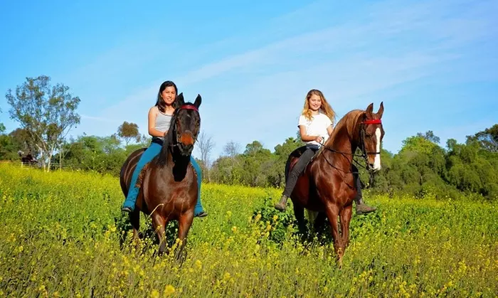 Horse Back Riding - Lessons at Liz Bolton Stables(Up to 25%Off) Two options - Primary Image