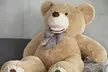Ours en peluche douce XXL Amigo, spécial Saint Valentin - Second Medium