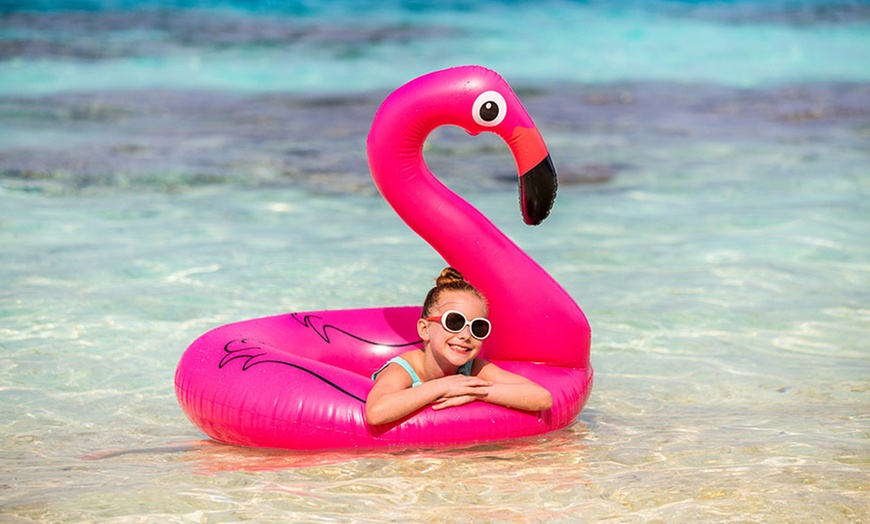 Image 3: Giant Flamingo Design Swim Ring