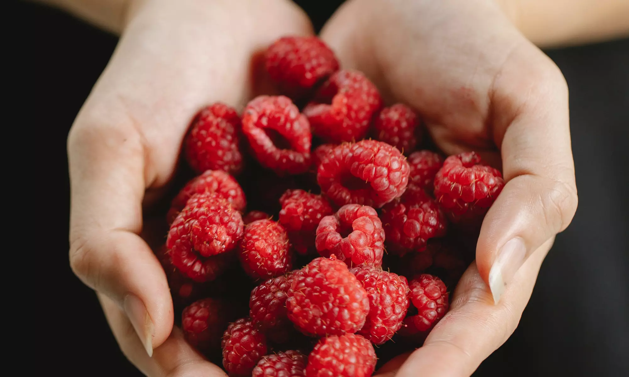 Plantes d'extérieur au choix, faciles d'entretien
