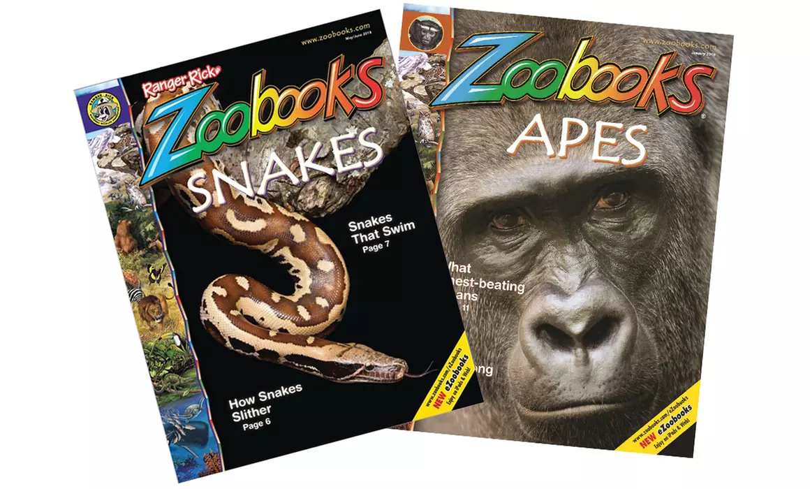 Zoobooks Magazine Subscription for One or Two Years (Up to 75% Off) - Primary Image