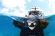 Cairns: One Child, Adult or One Family Ticket for a Full Day Reef Cruise and Lunch with Down Under Cruise and Dive - Second Medium