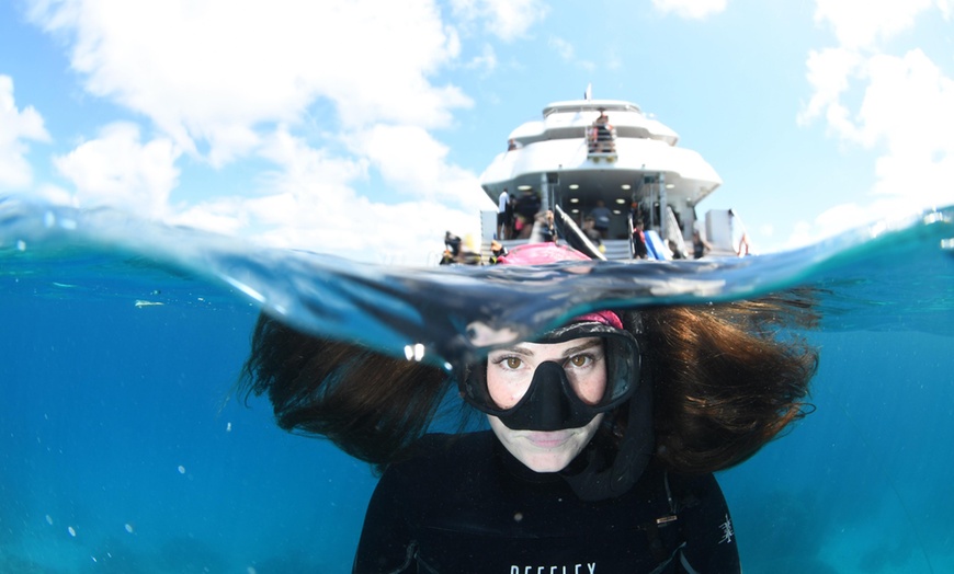 Image 5: Cairns: Full Day Reef Cruise