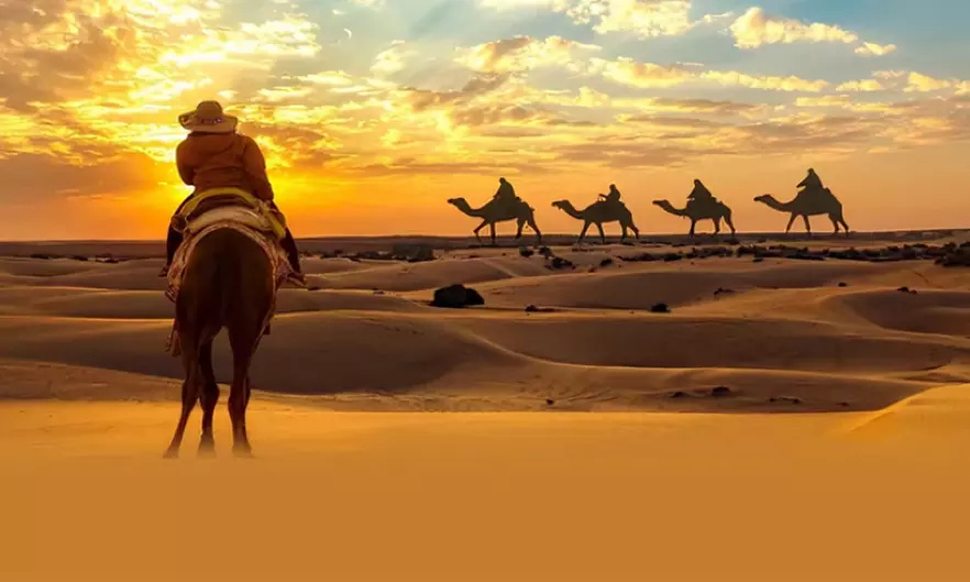Embark on One, Two, or Four People: Regular/VIP Half-Day Desert Safari