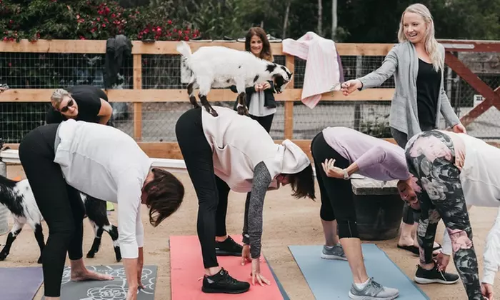 Up to 50% Off on Yoga - Goods and Goats Market - Primary Image