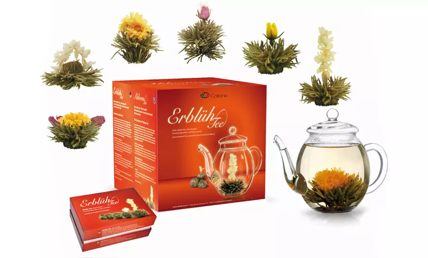 Image 3: Selectie van theebloembakken