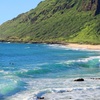 Image 4: Explore Hawaii with Lemurian Tours for Kids and Adults