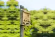 Stylish Wooden Bat House - Second Medium