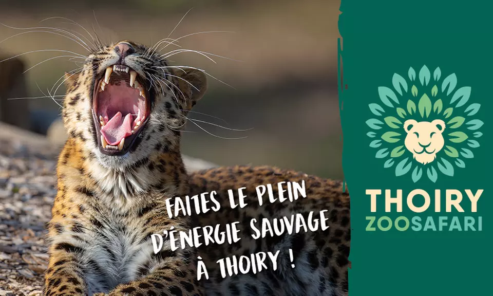 1 billet adulte ou enfant pour découvrir le ZooSafari de Thoiry (33% de réduction) - Primary Image