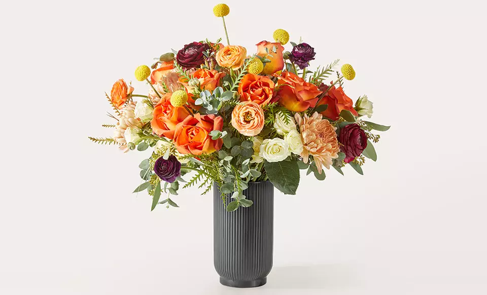 ProFlowers Same Day Vibrant Flowers & Gifts Up to 64% Off 
