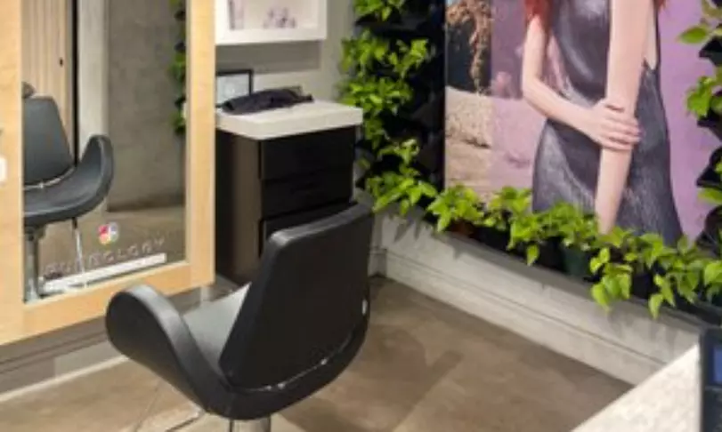 Haircut, Condition, Blowdry with Optional Single Process, Ombre & More