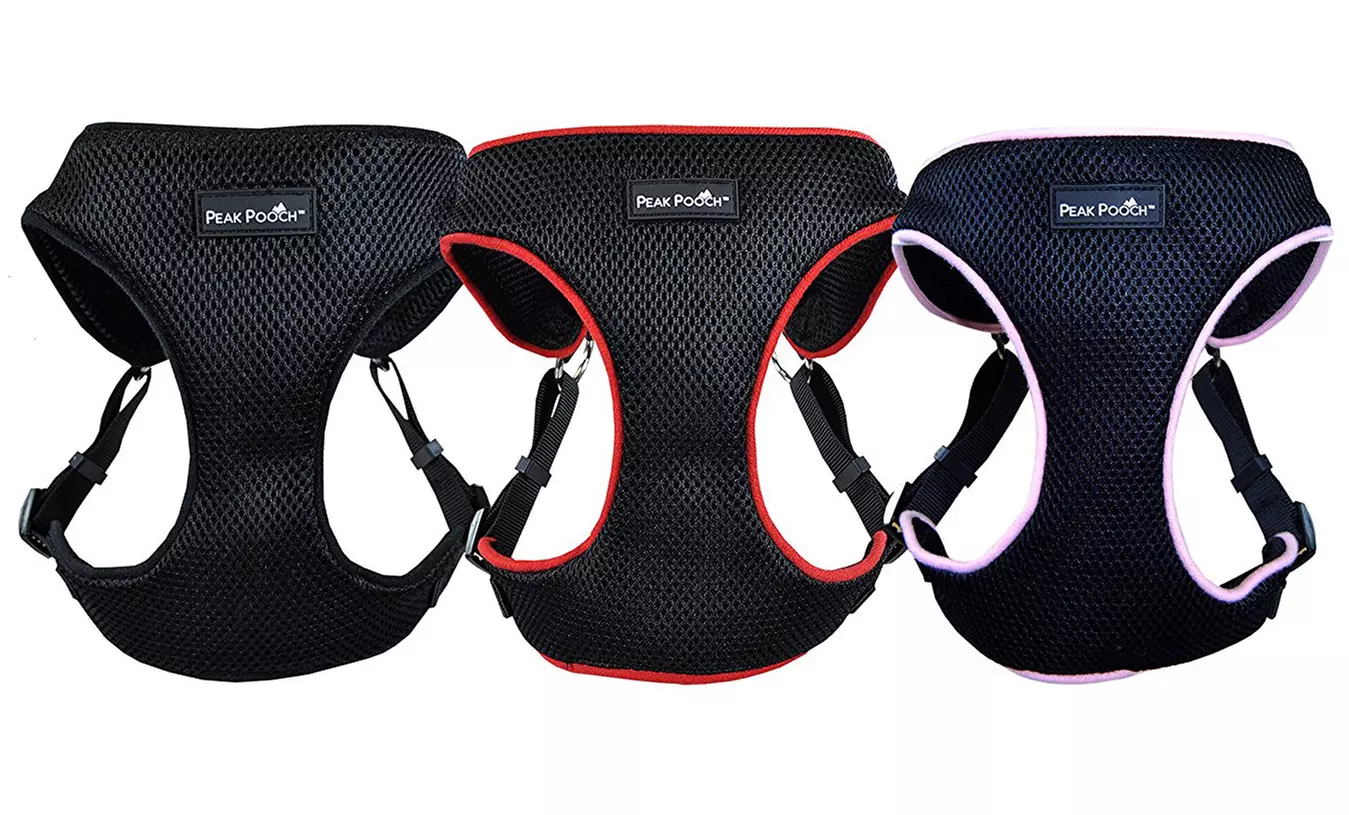 No-Pull Dog Walking Harness - Primary Image