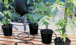 Instant Drip Plant Watering System