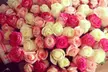 50, 100, 150 or 200 Single- or Mixed-Colour Roses and Card at Al Dar Roastery (Up to 55% Off) - Image 6