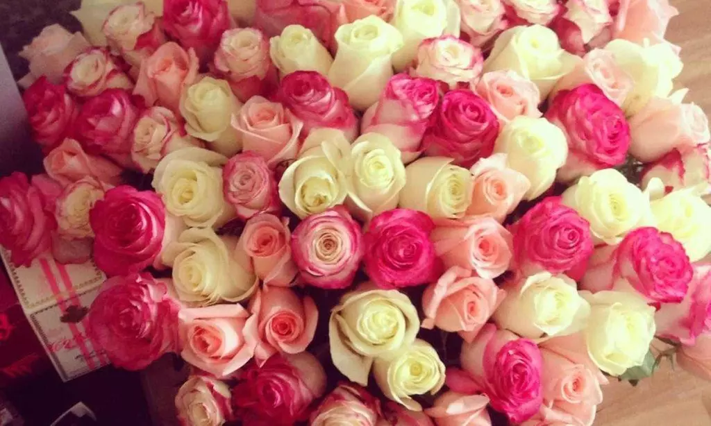 50 to 200 Roses and Card