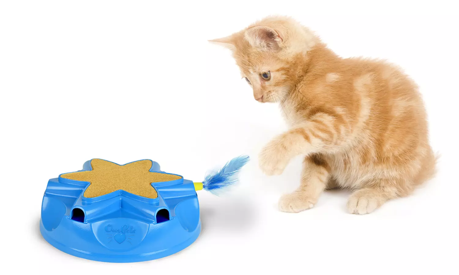 Catty Whack Electronic Cat Toy - Primary Image