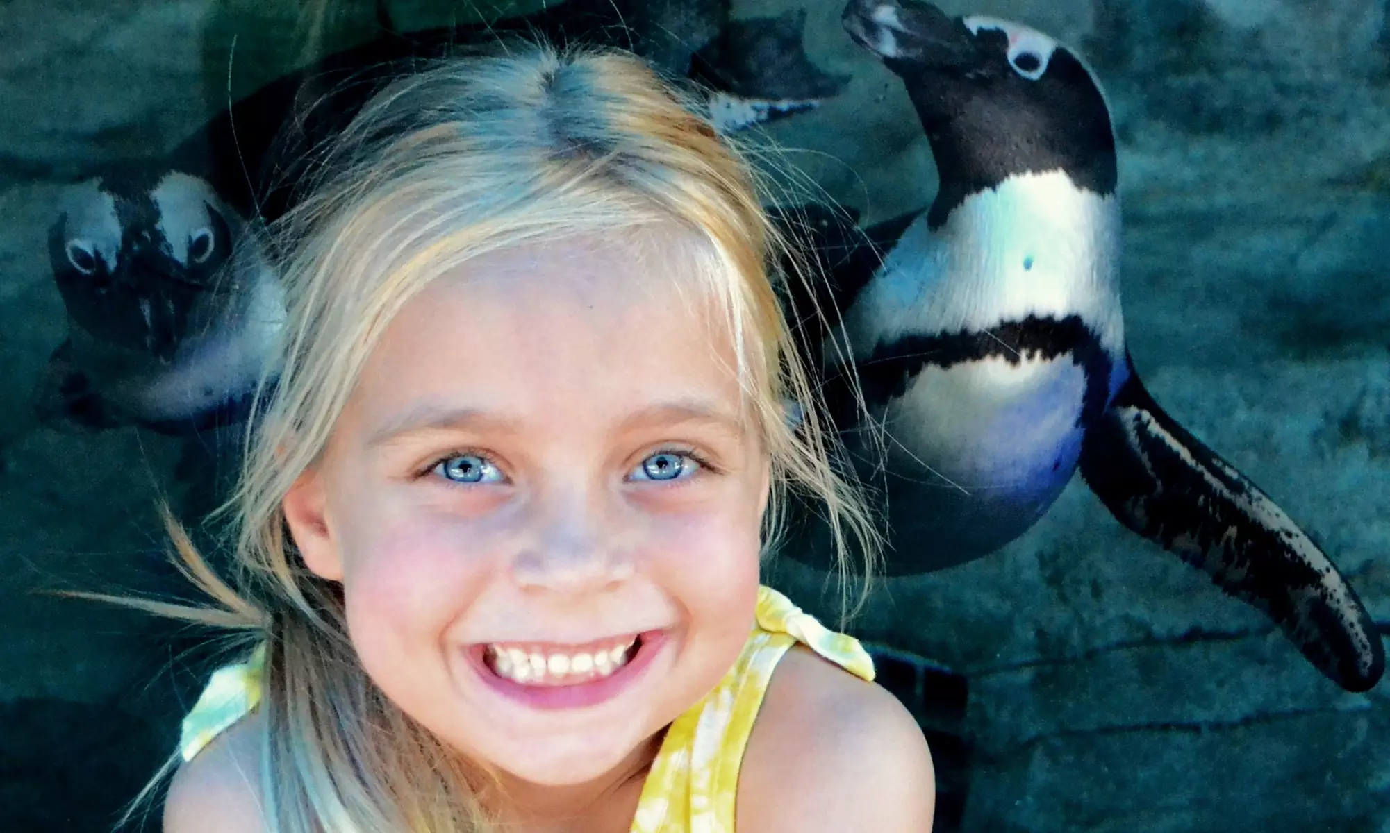 One Adult or Child General Admission to Miami Seaquarium (Up to 50% Off)  - Primary Image