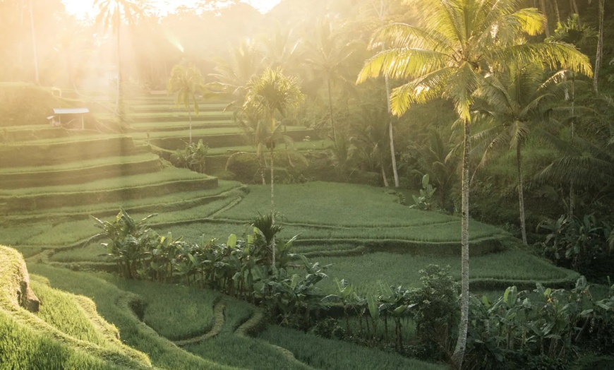 Image 10: ✈ Bali, Seminyak & Ubud: 10-Night Twin-Centre Getaway with Flights