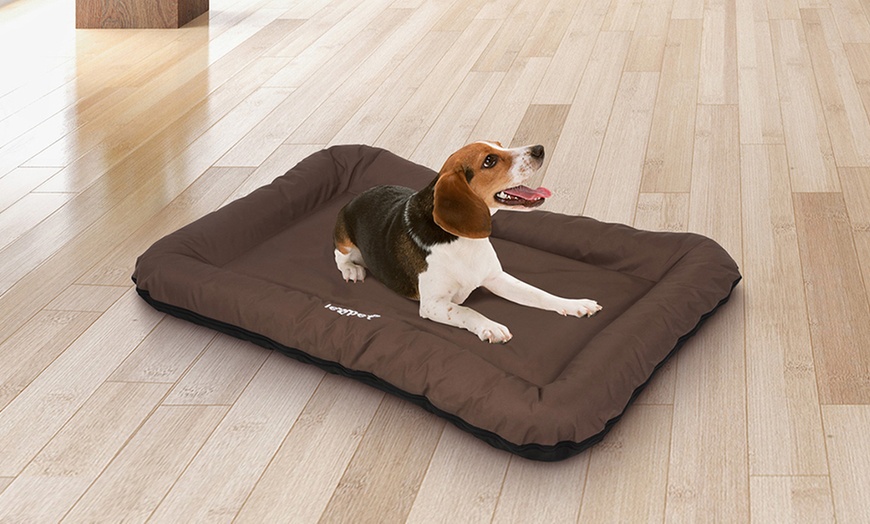 Image 3: Large Flat Dog Beds