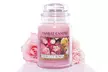 Yankee Candle Large Candles from £13.99 - Image 6