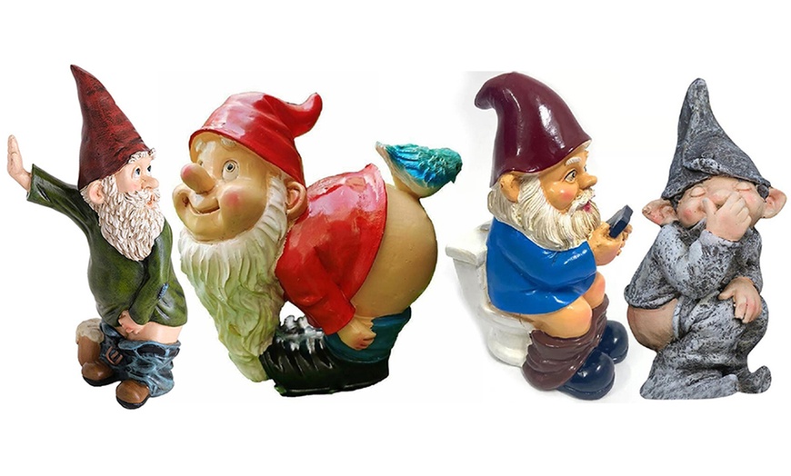 Image 1: Funny Gnome