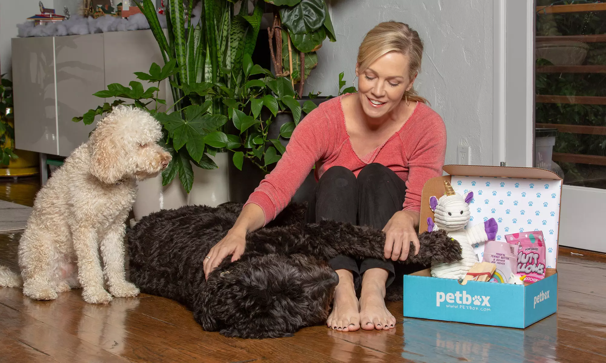 One Month Pet Subscription Box to PetBox (67% Off) - Second Medium