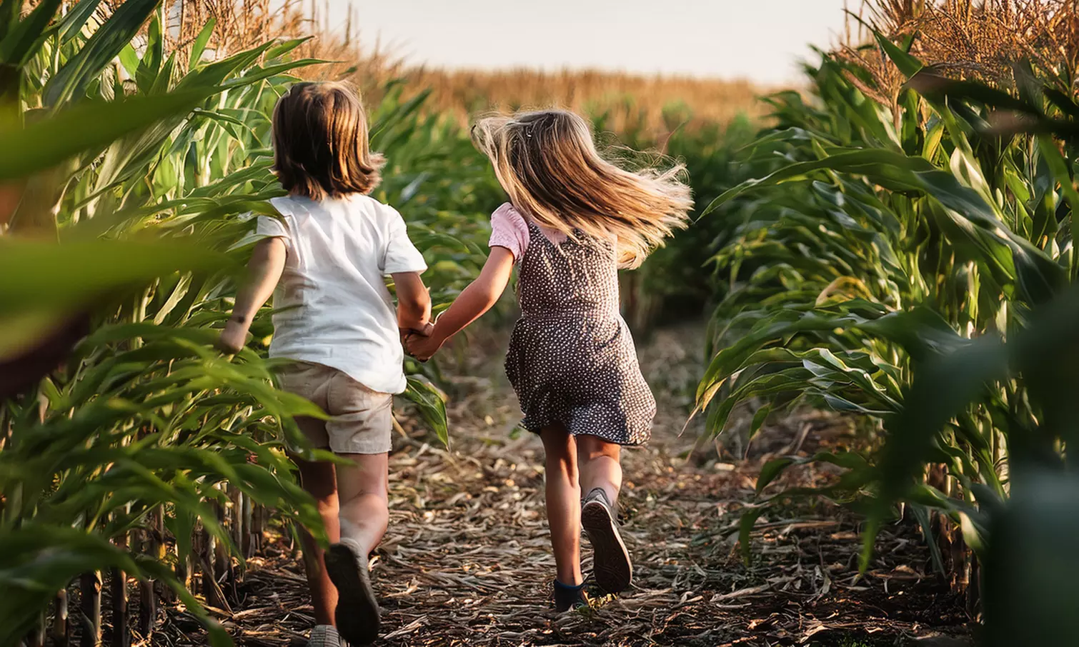 Tageskarte für den Erlebnishof Borgholzhausen für 2 oder 4 Personen