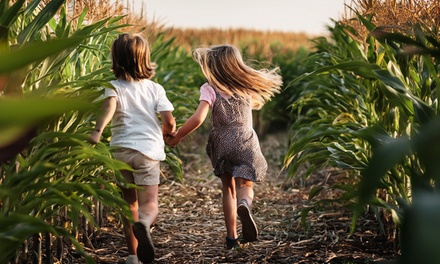 Für 2 Personen: Tageskarte für den Erlebnishof Borgholzhausen - Bauer Bernd Gmbh And Co Kg