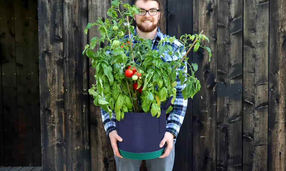 Grow Your Own Caprese Seedsheet Garden with Container and Soil Kit - Primary Image