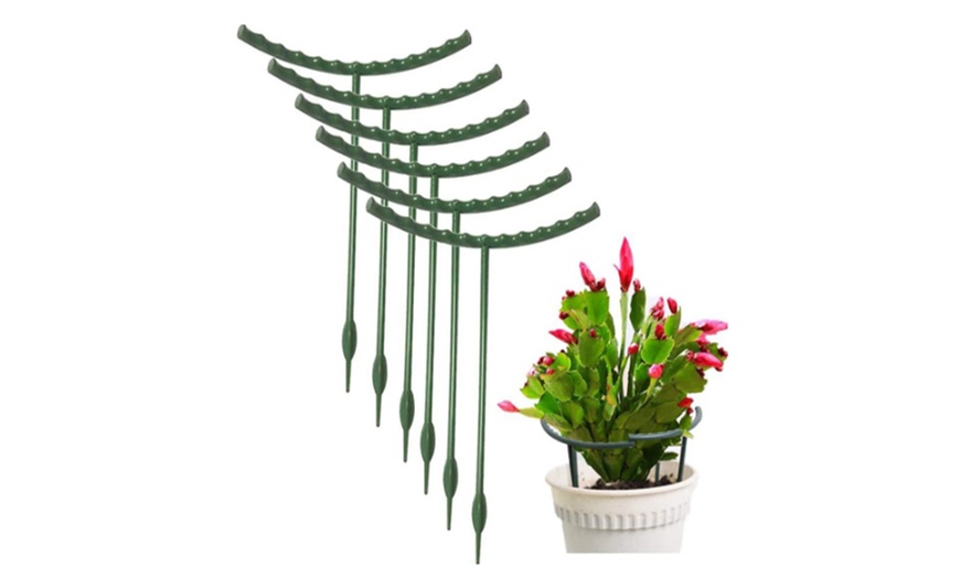 Image 3: 6- or 12-Piece Plastic Plant Support Pile Stands