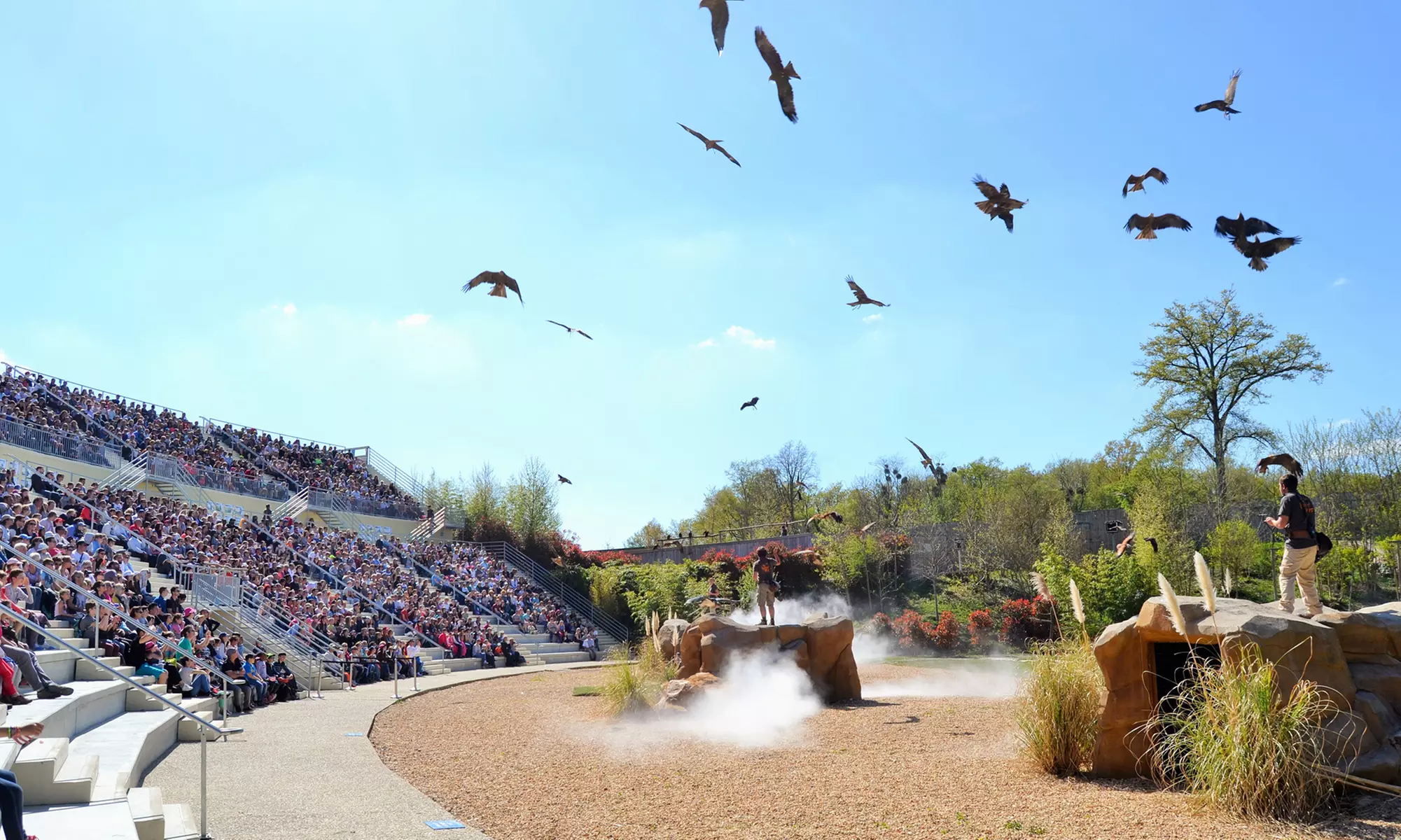 ZooParc de Beauval : 1 ou 2 jours pour un tour du monde animal
