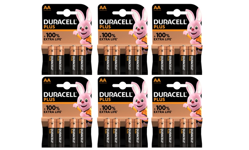 Image 7: Bis zu 24x Duracell Batterie