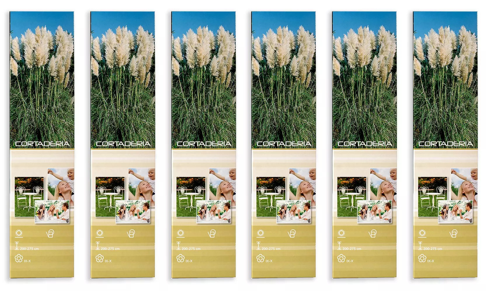 Set de 3 plantas de exterior Pampa