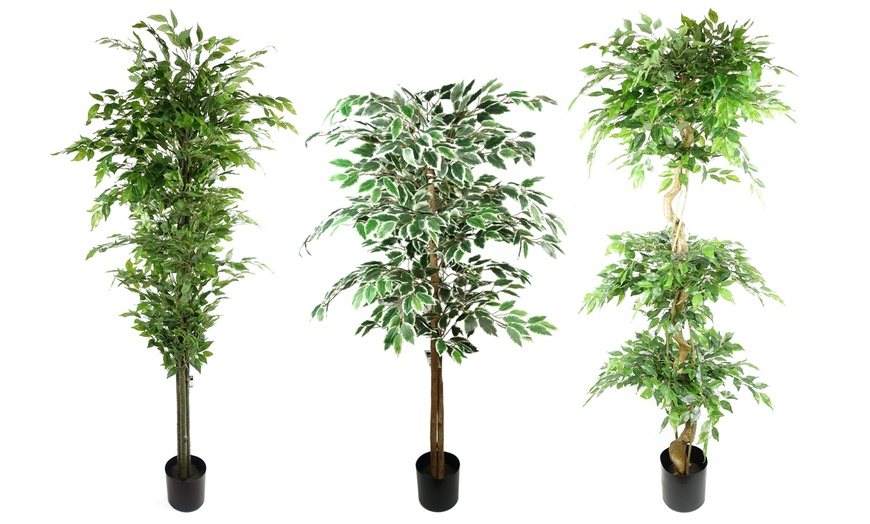 Image 1: Botanik Artificial Ficus Tree Collection