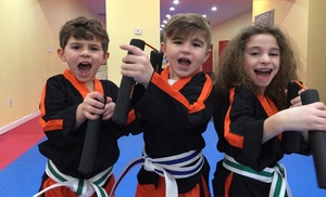 Join 2 to 4 Martial Arts Classes for Kids Aged 3-5