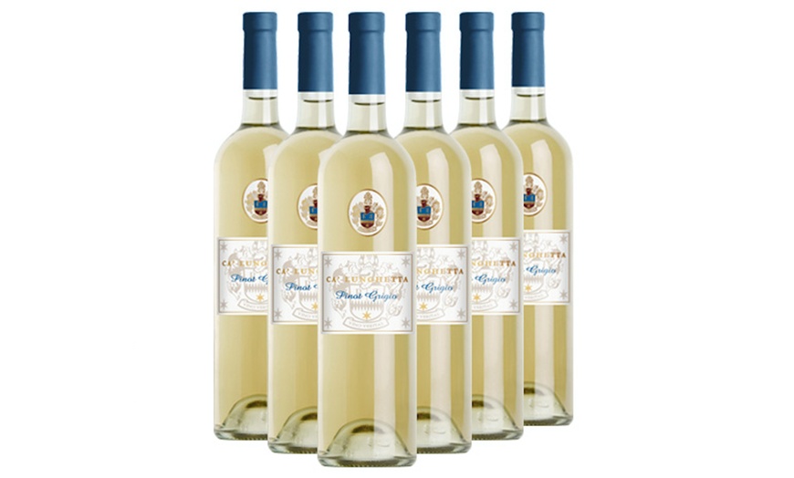 Image 2: 6 o 12 bottiglie di vino Pinot Grigio