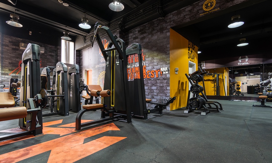 Up to 12 months Gym Membership - Muscle House Gym | Groupon