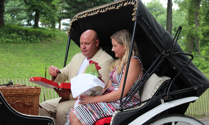 central park carriage ride groupon