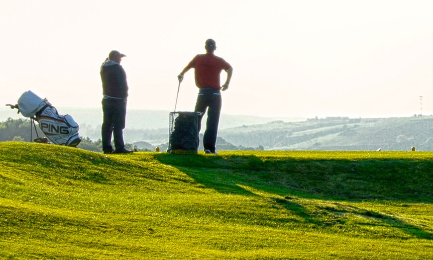 Image 3: Golf Lesson with PGA Professional