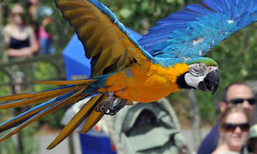 Image 9: CityPASS® - Save up to 38% on Admission to Top Toronto Attractions