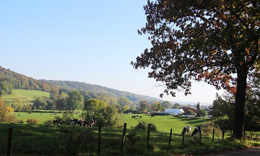 Image 4: Schinveld in Limburg: 1-3 nachten, naar keuze met romantiek-pakket