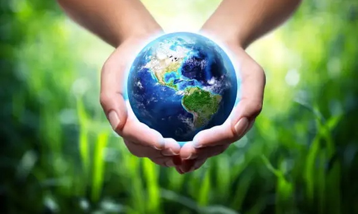 Maîtrisez l'art de la médecine de l'habitat avec MeFormer