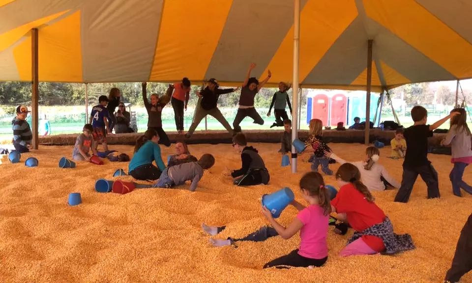 Corn Maze and Pumpkin Patch with Donuts for 2, 4, or 6 at Gieringers Family Orchard & Berry Farm (Up to 55% Off) - Primary Image
