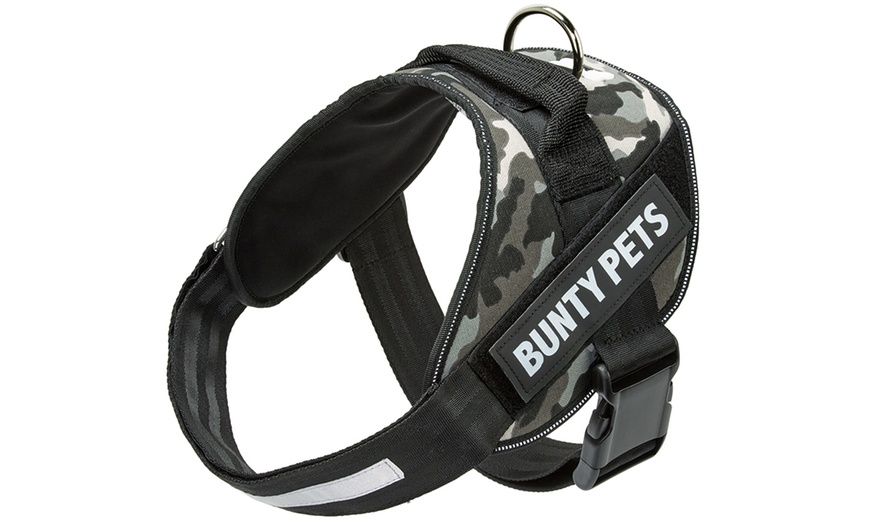 Image 4: Bunty Yukon Pet Harness