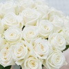 Image 4: Elegant Roses 24, 36, or 96 Long Stem Rose Bouquets from Rose Farmers (Choice of Color)