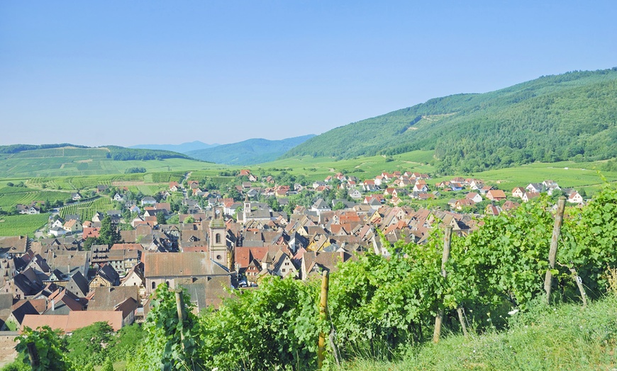 Image 2: Séjour œnologique en Alsace