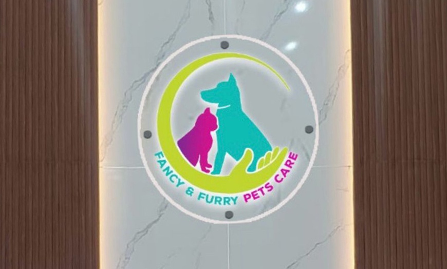 Image 8: Grooming or Washing at Fancy & Furry Pets Care 