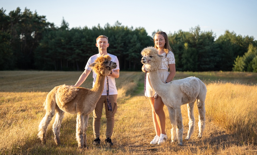 Image 7: Relaksujące spotkanie z alpakami dla 2 osób