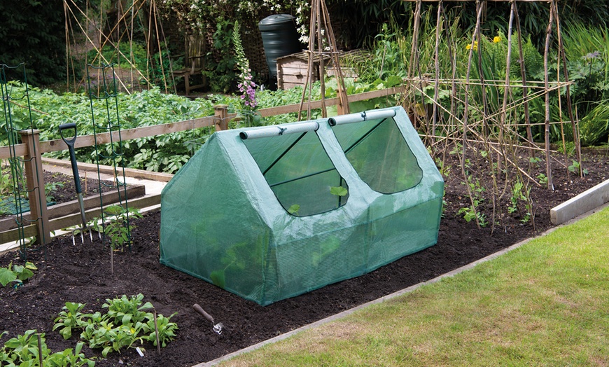 Image 1: Garden Cloche